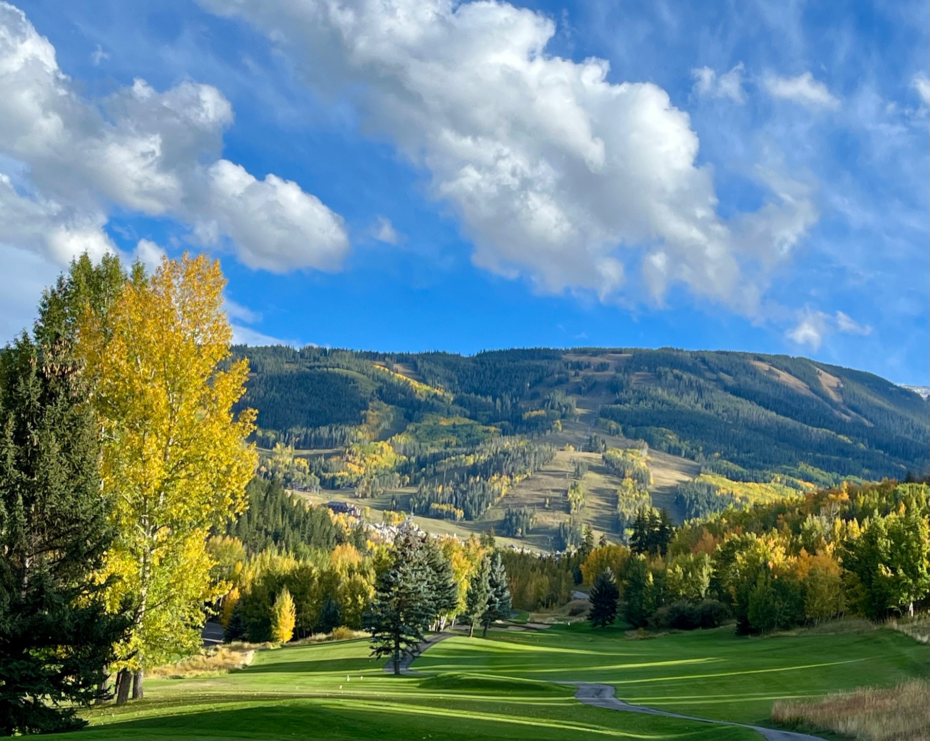 Beaver Creek Property Owners Association (BCPOA)