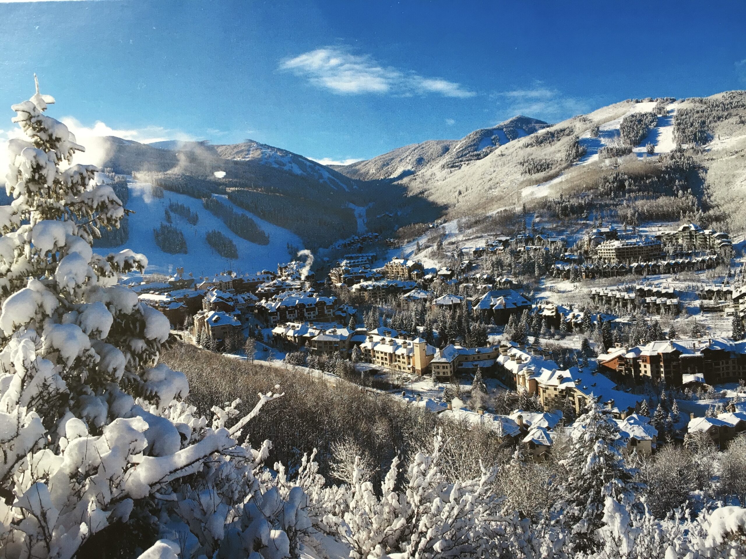 Beaver Creek Property Owners Association (BCPOA)