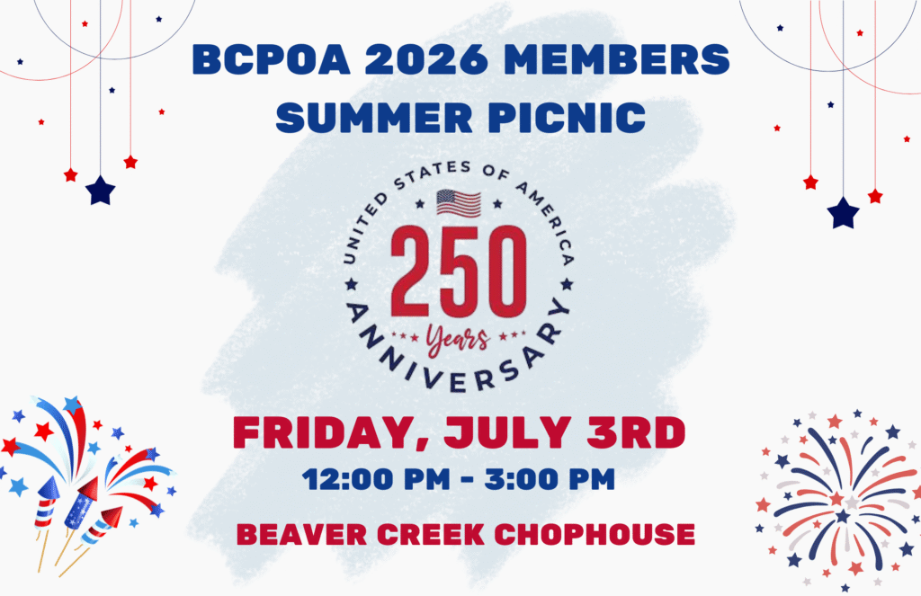 Celebrate 250 Picnic banner