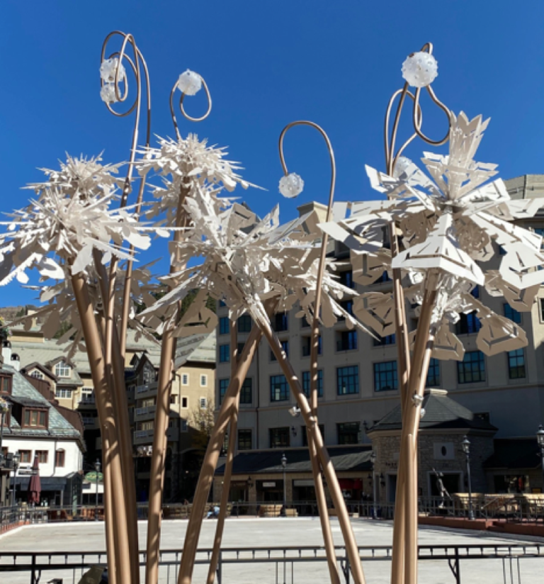 Fall Newsletter October 2020 Beaver Creek Property Owners Association